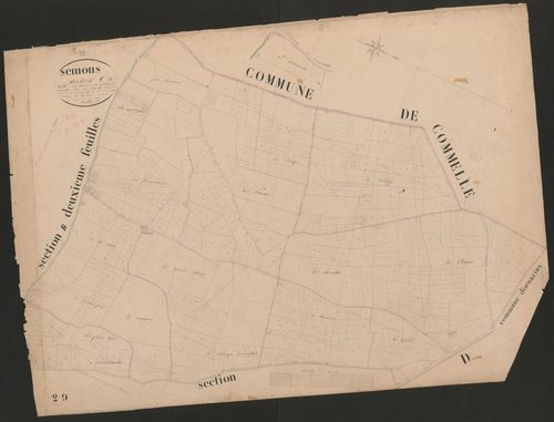 4P4/523 Section C