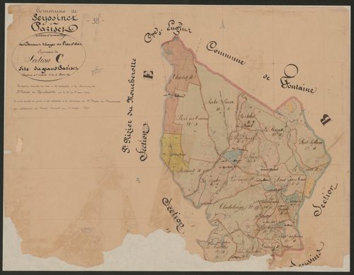 4P4/323 Section C