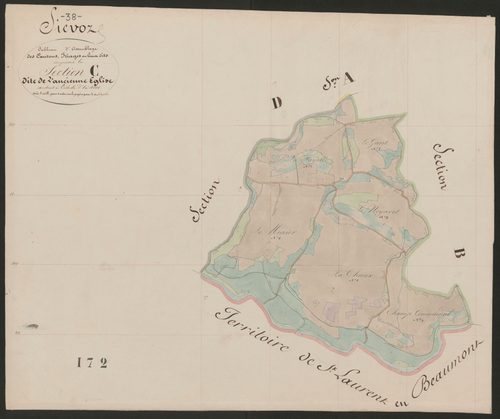 4P4/325 Section C