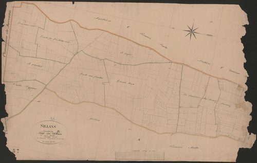 4P4/395 Section B