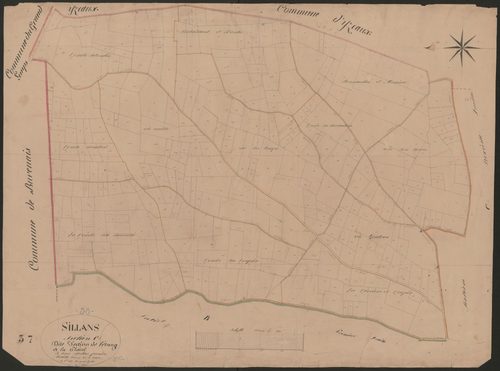 4P4/395 Section C