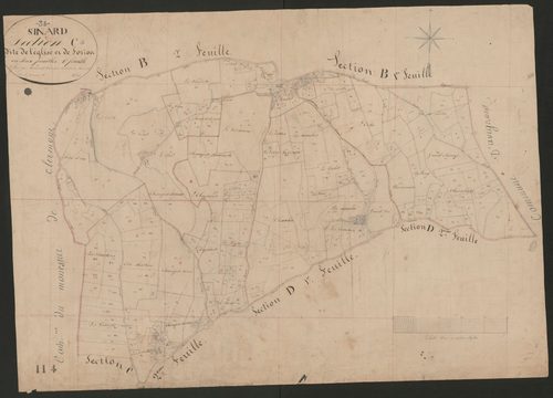 4P4/326 Section C