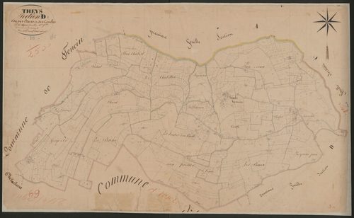 4P4/223 Section D