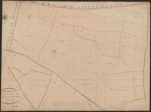 4P4/422 Section A