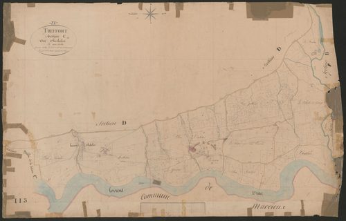 4P4/329 Section C
