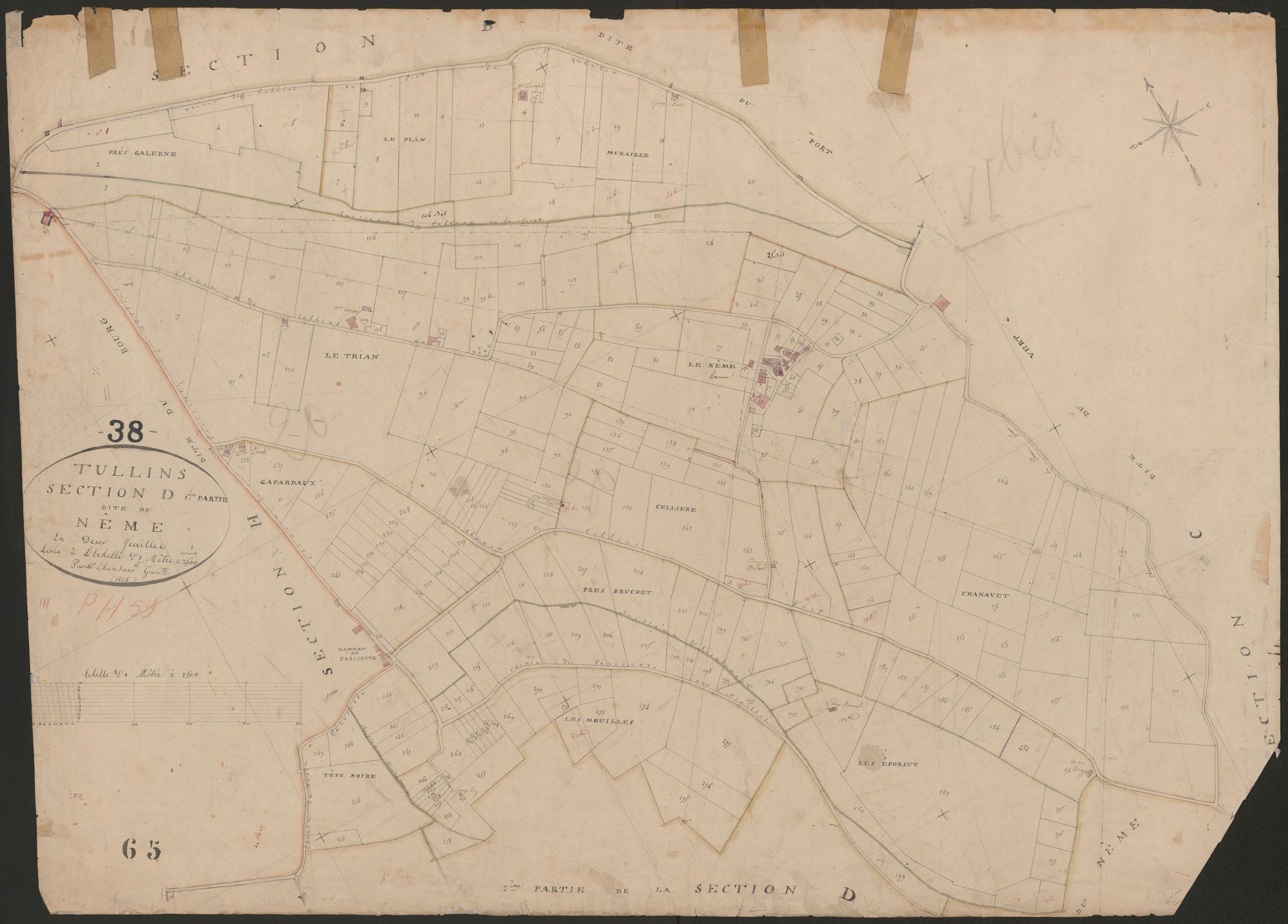 4P4/423 Section D
