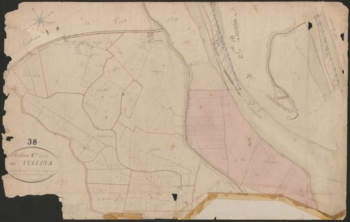 4P4/423 Section C