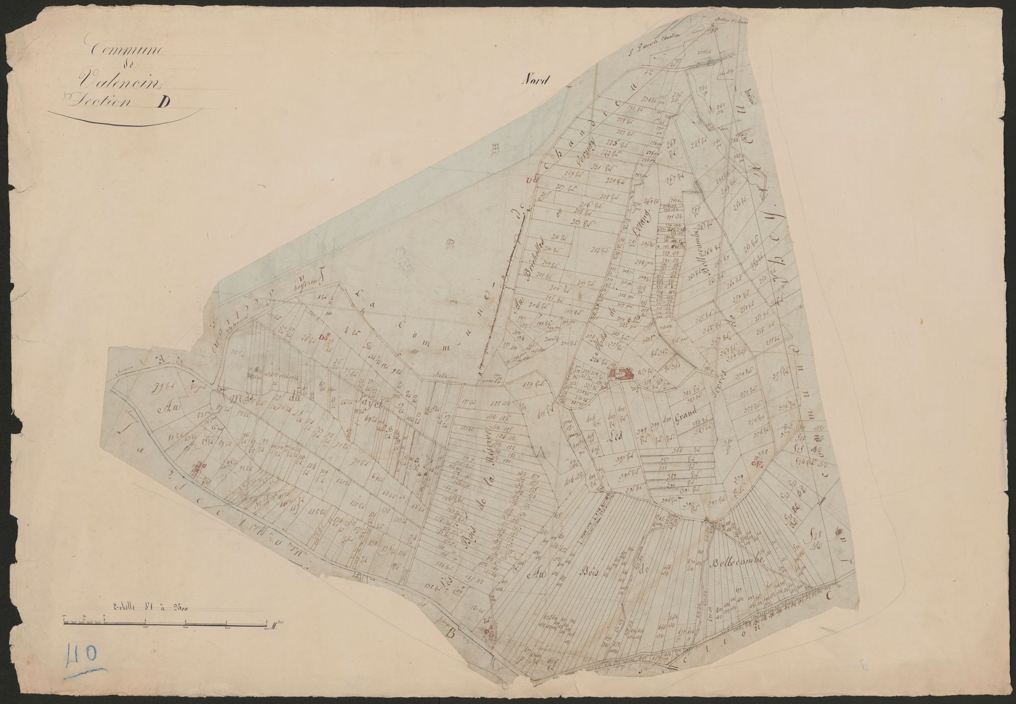 4P4/529 Section D