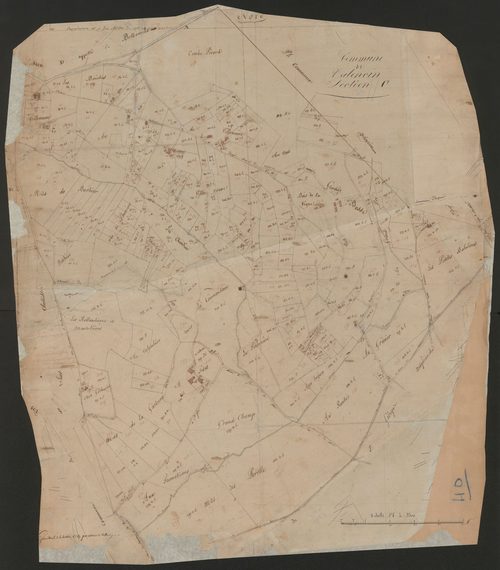4P4/529 Section C