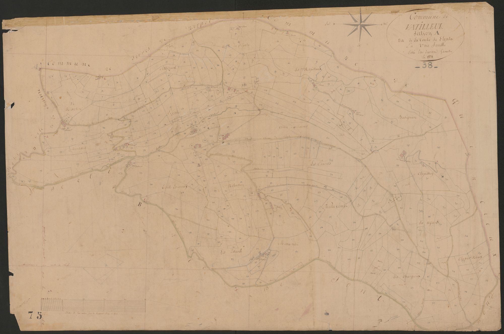 4P4/425 Section A