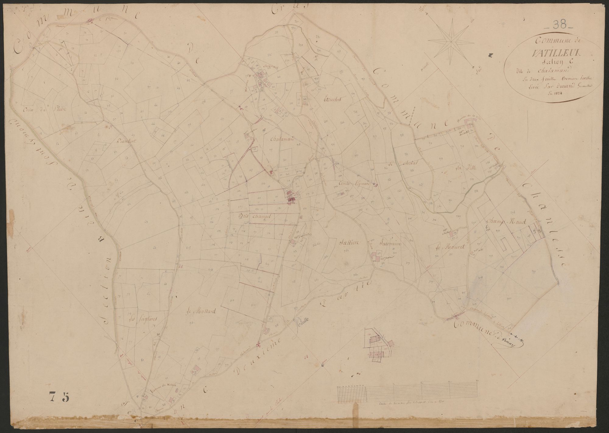 4P4/425 Section C