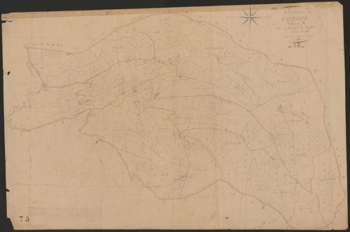 4P4/425 Section A