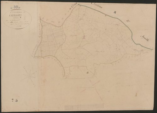 4P4/425 Section B
