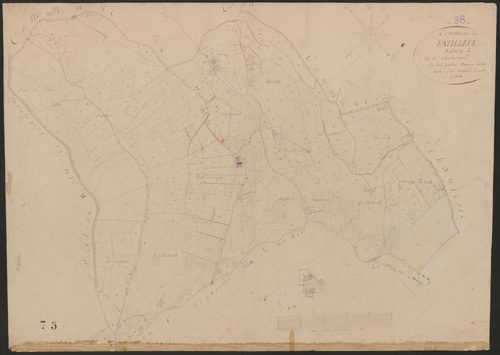 4P4/425 Section C