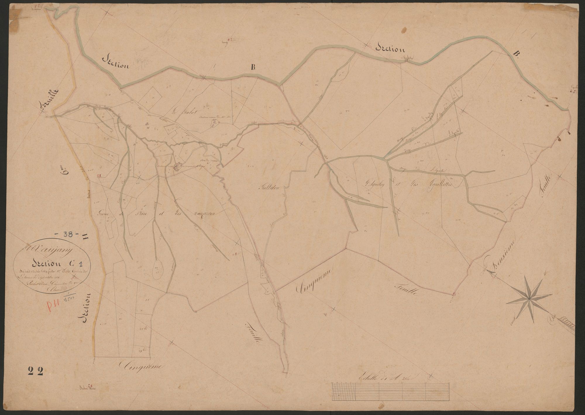 4P4/335 Section C