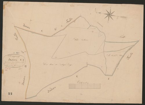 4P4/335 Section E