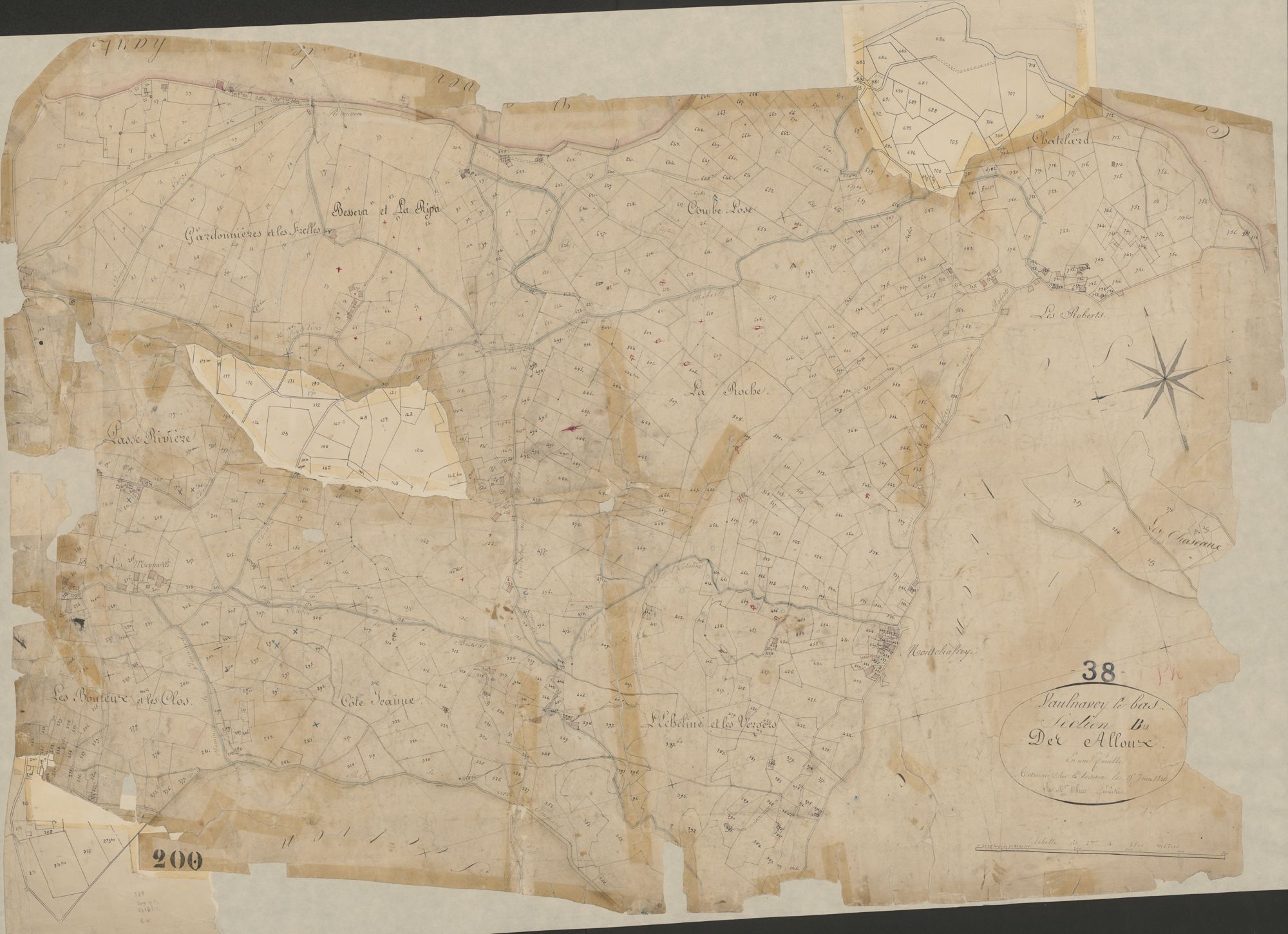 4P4/226 Section B
