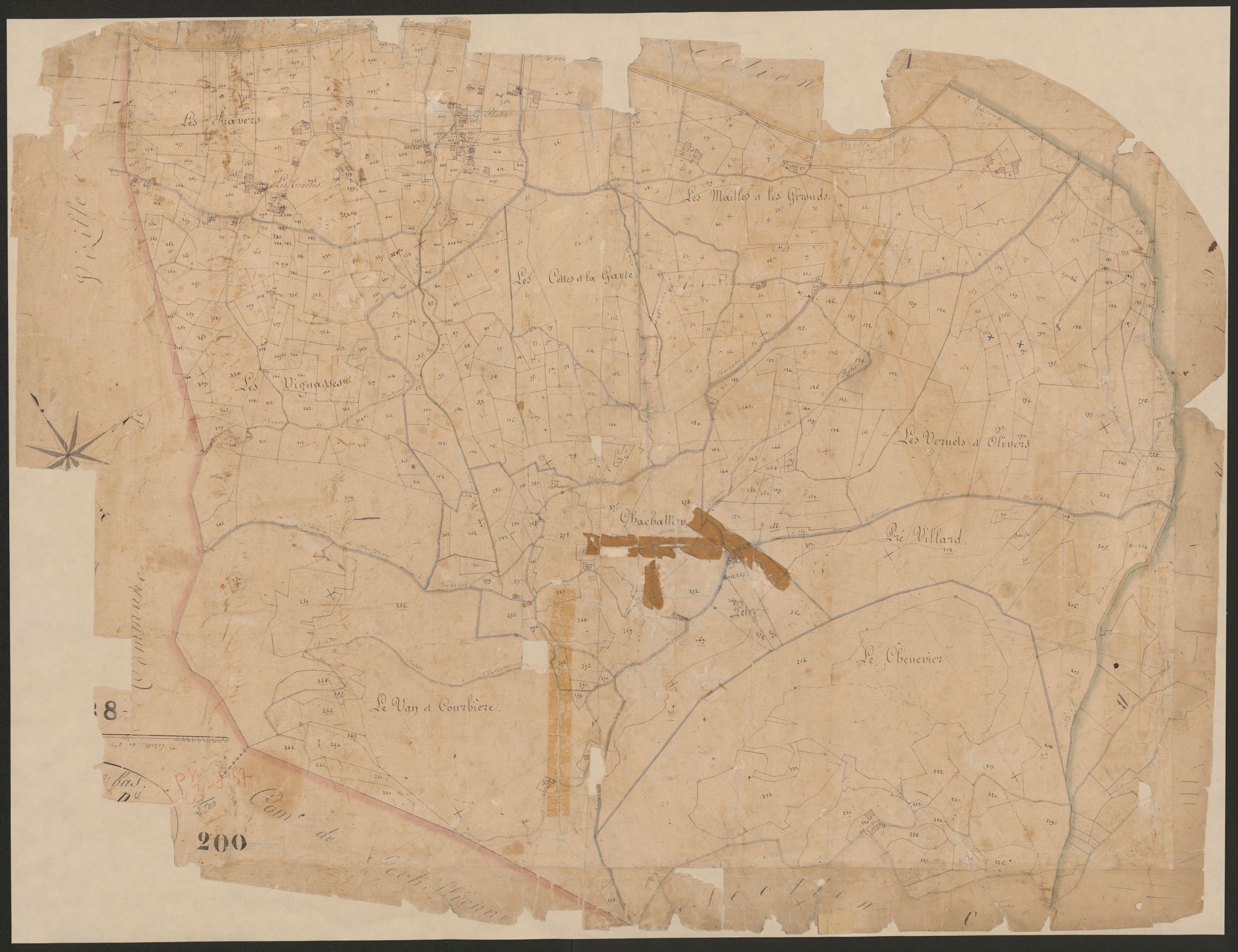 4P4/226 Section D