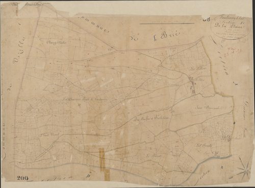 4P4/226 Section A