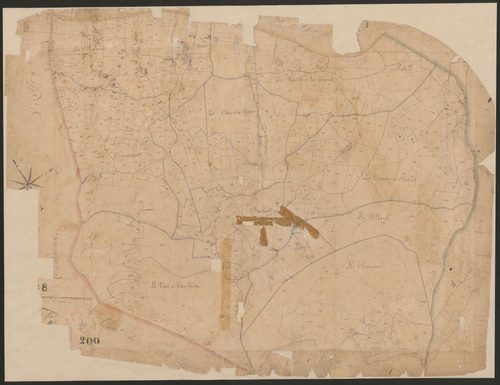 4P4/226 Section D