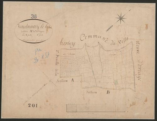 4P4/227 Section A