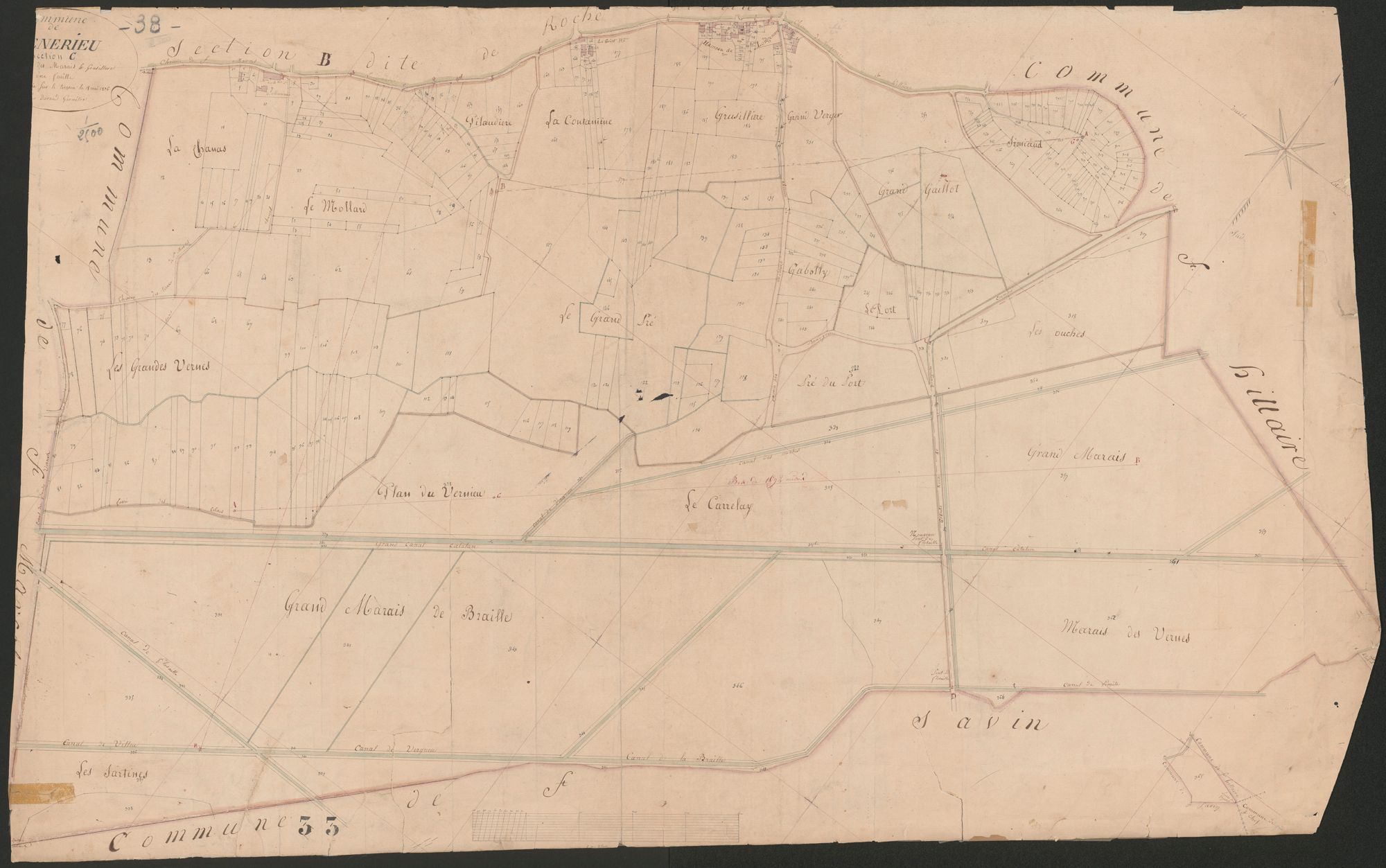 4P4/121 Section C