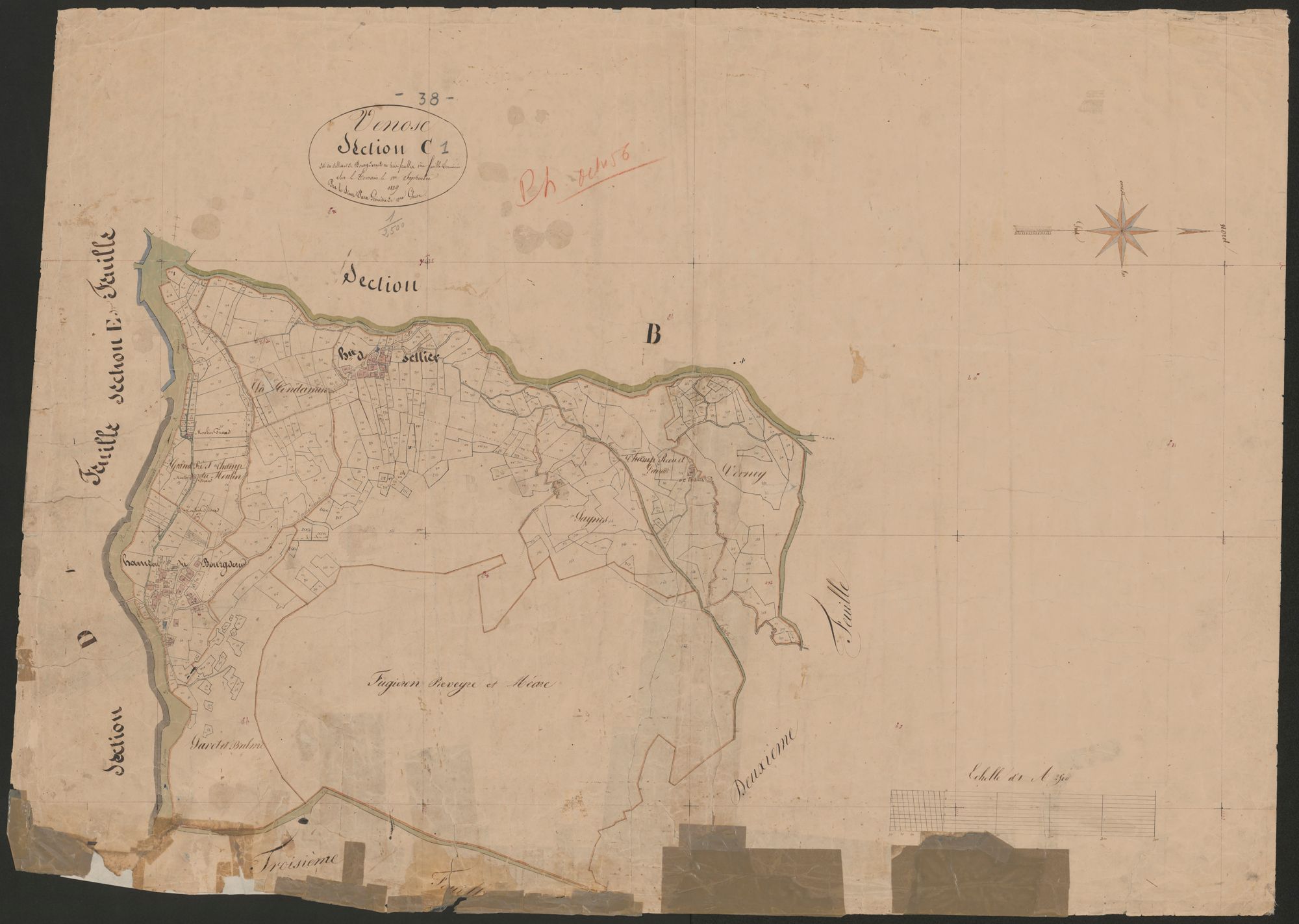 4P4/336 Section C