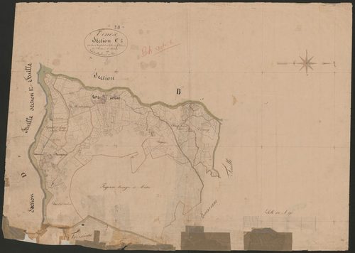 4P4/336 Section C