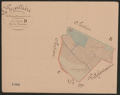4P4/532 Section D