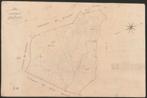 4P4/126 Section D
