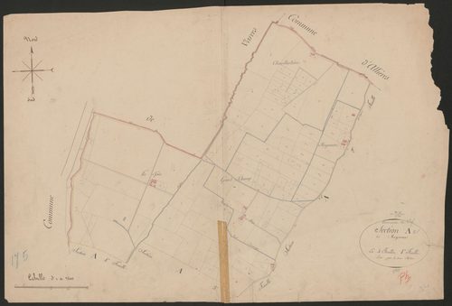 4P4/338 Section A