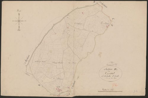 4P4/338 Section D
