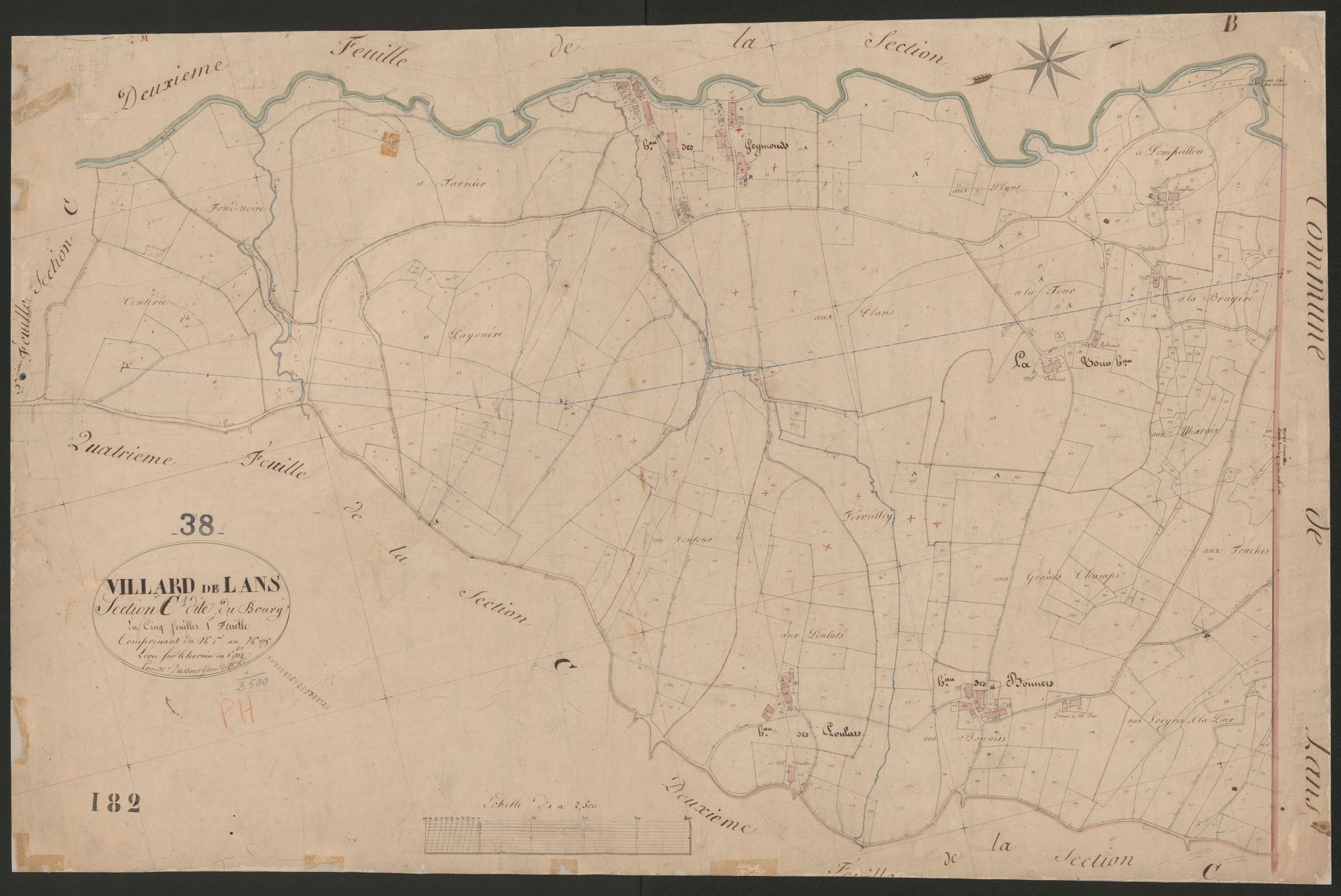 4P4/339 Section C