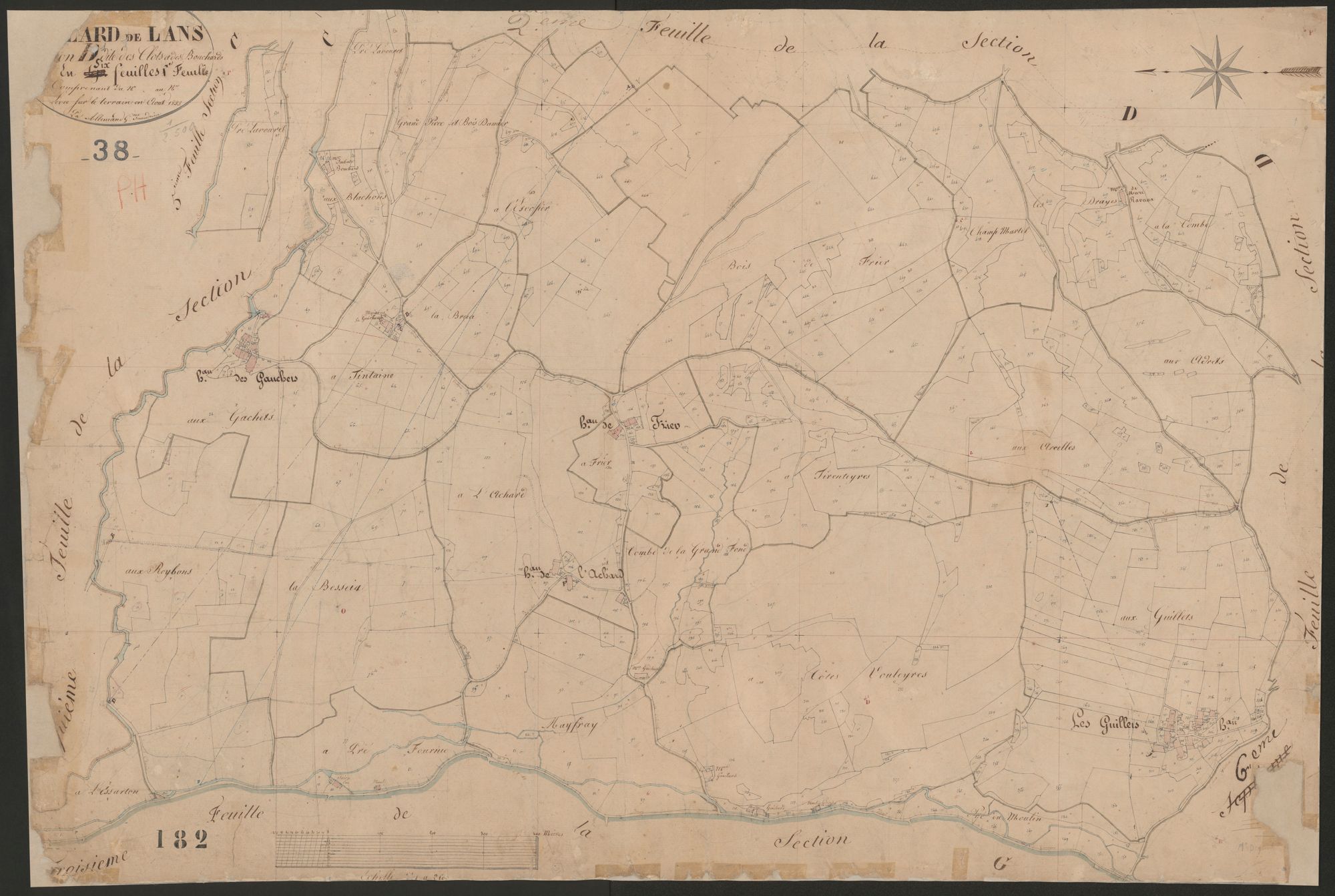4P4/339 Section D