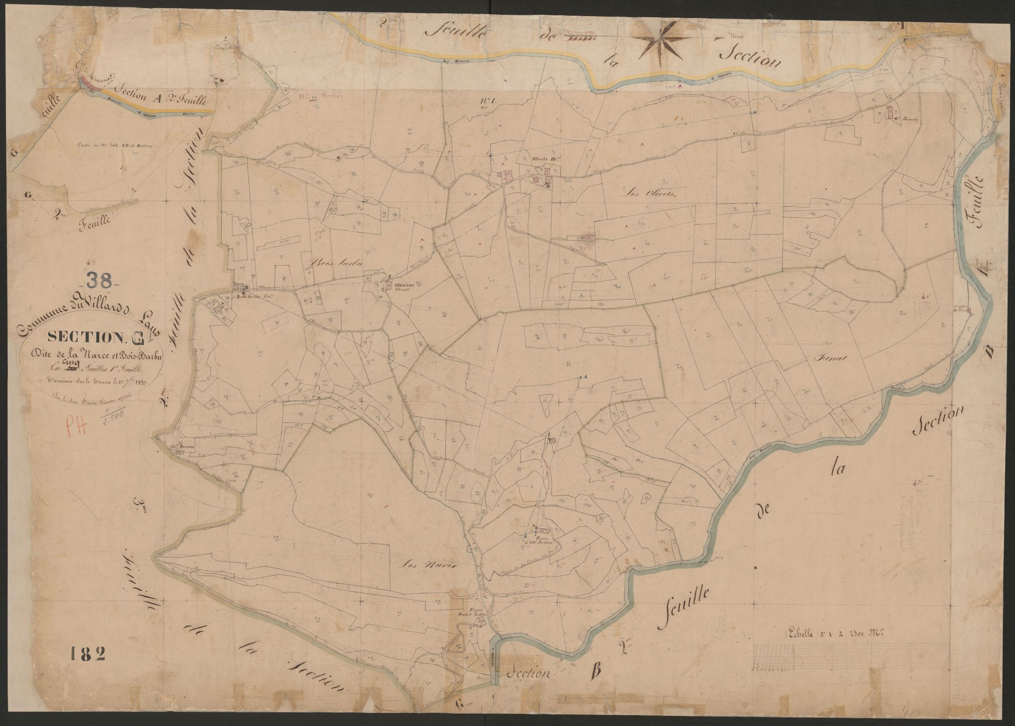 4P4/339 Section G