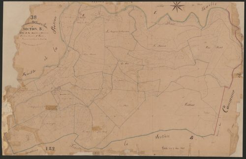 4P4/339 Section B