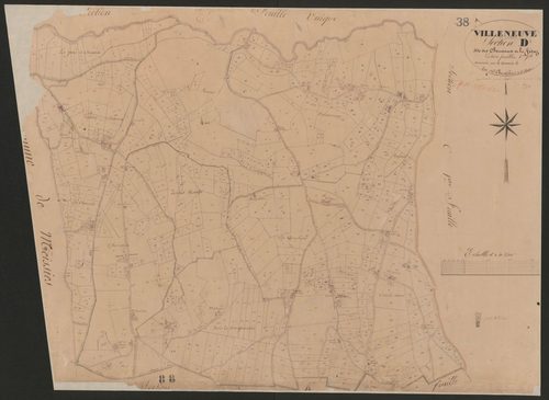 4P4/535 Section D