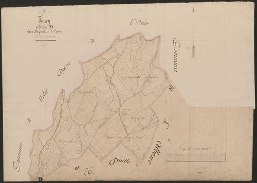 4P4/426 Section D