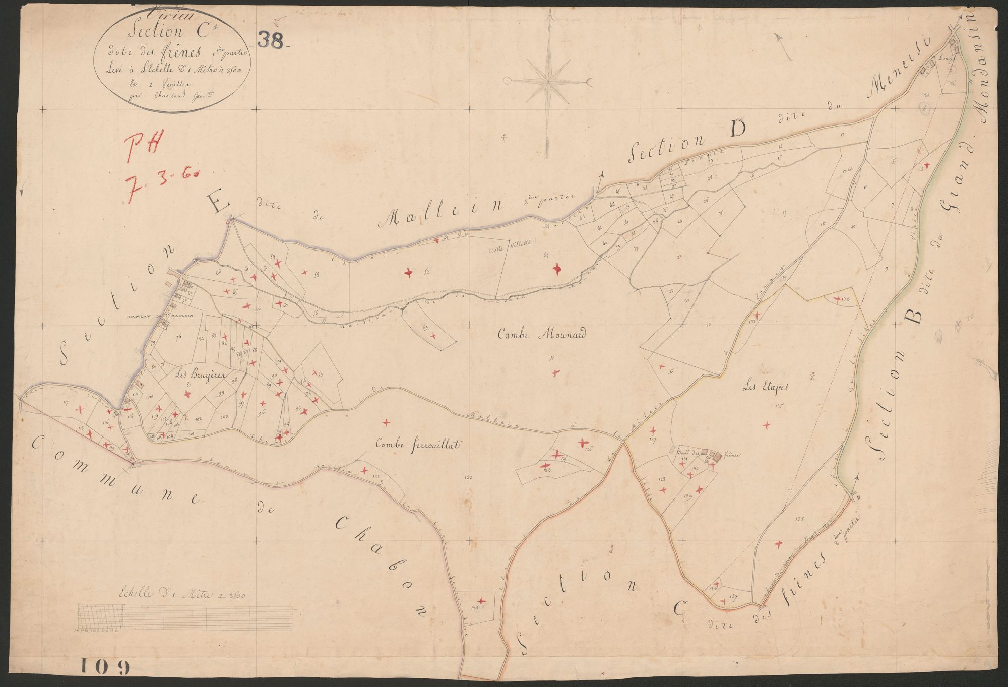 4P4/131 Section C
