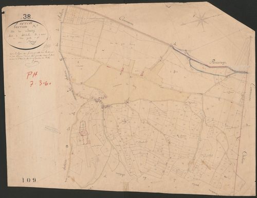 4P4/131 Section A