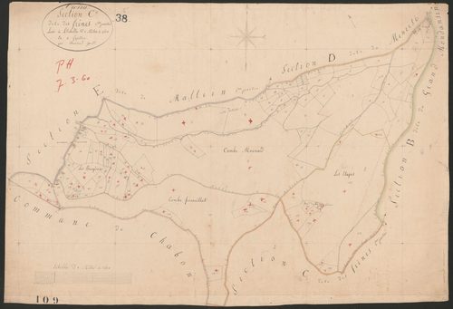 4P4/131 Section C