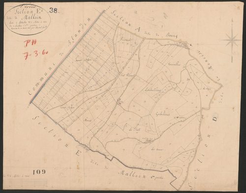 4P4/131 Section E