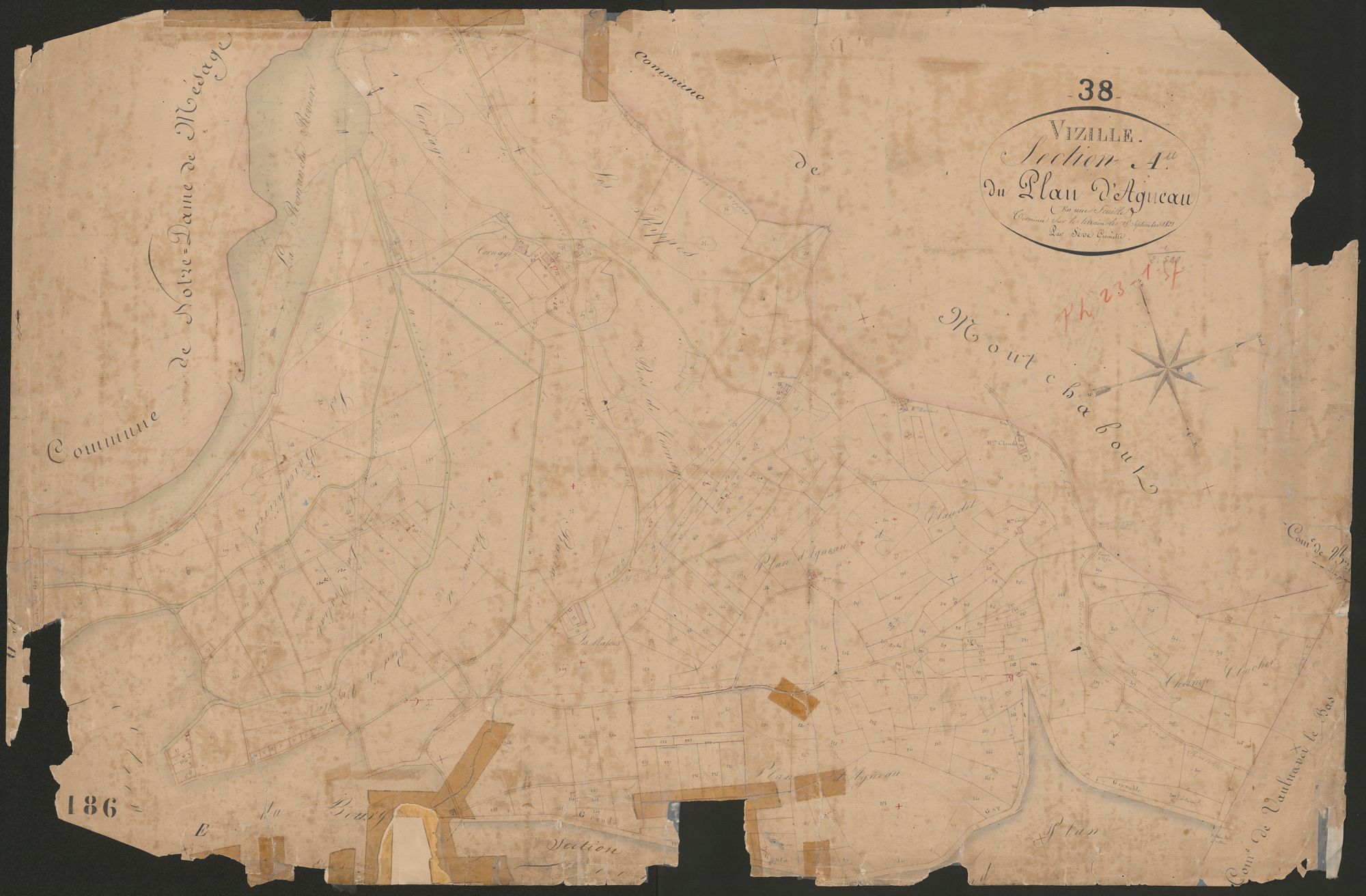 4P4/231 Section A