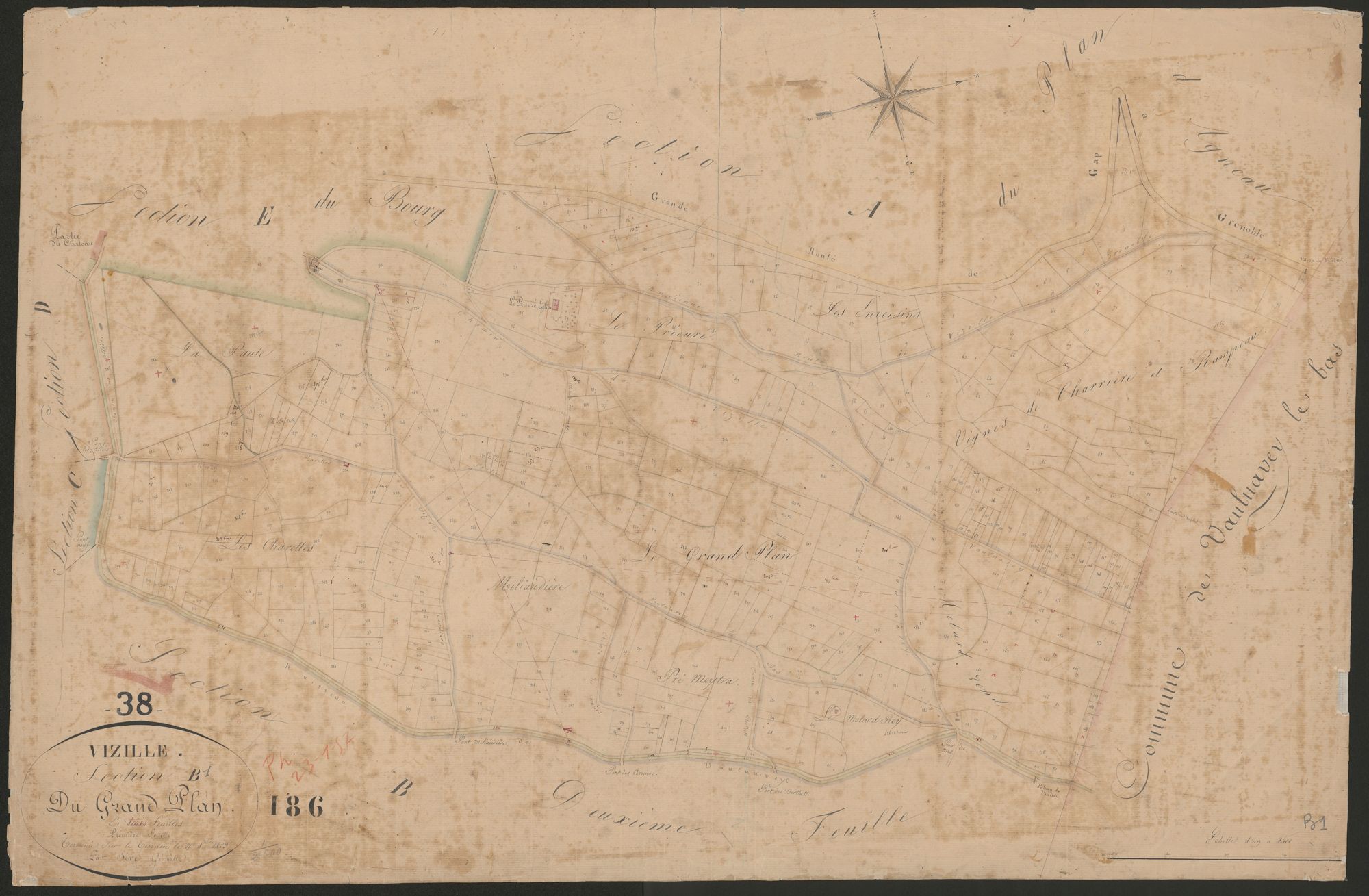 4P4/231 Section B