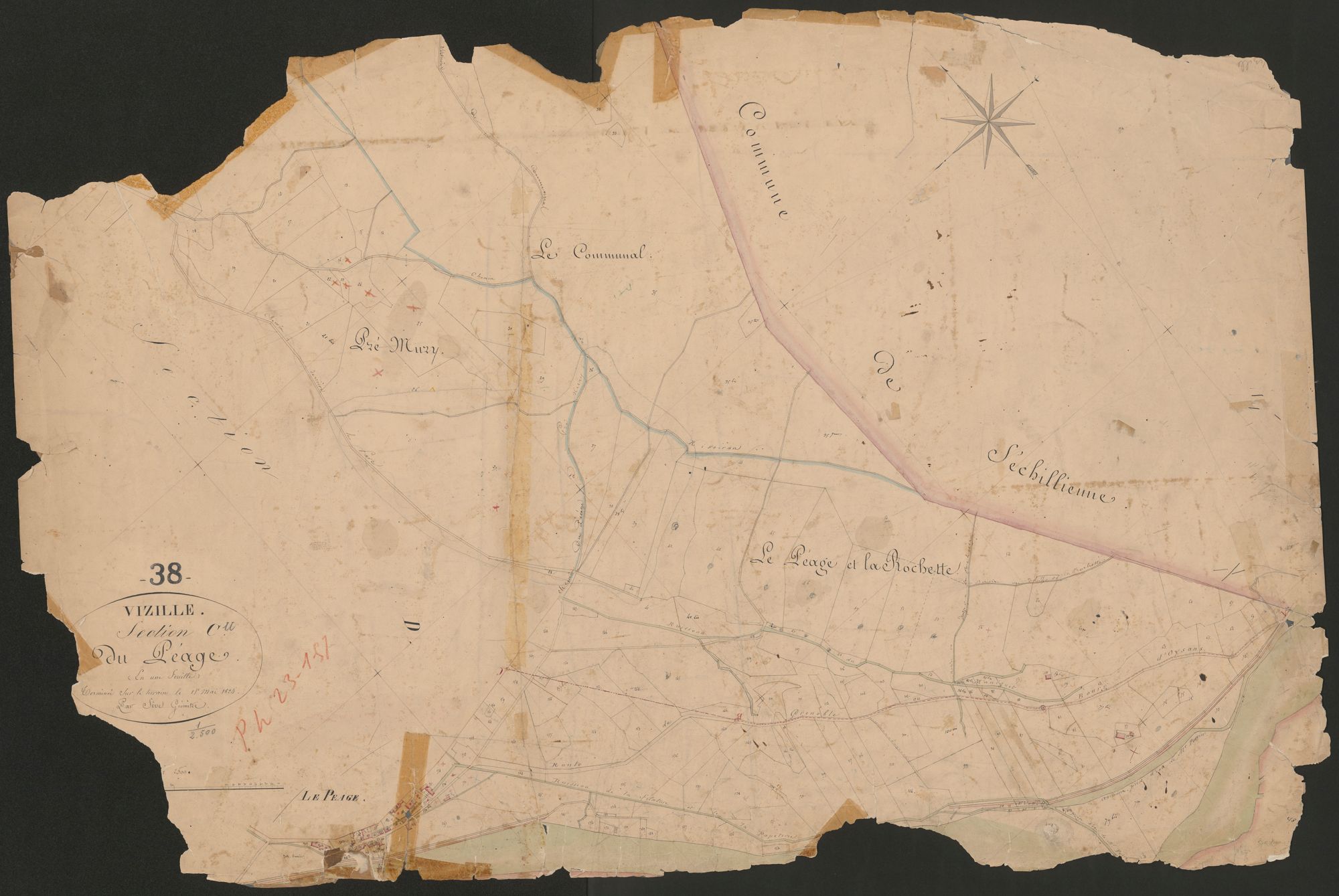 4P4/231 Section C