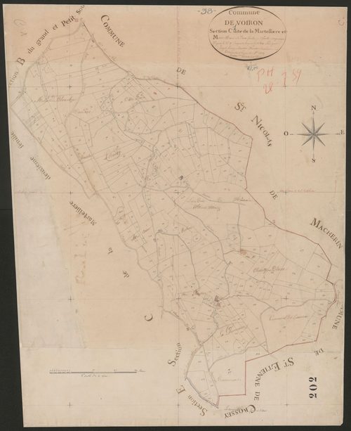 4P4/232 Section C