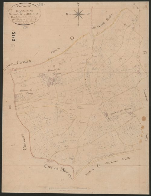 4P4/232 Section G