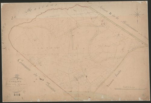 4P4/233 Section A