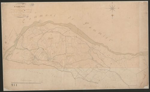 4P4/233 Section C