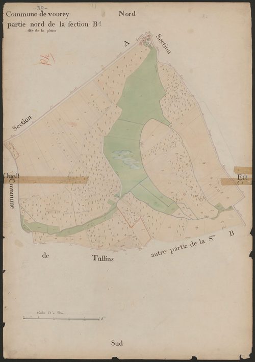 4P4/428 Section B